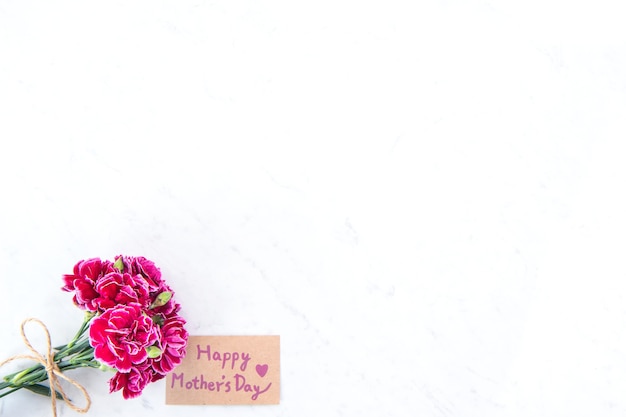 Beautiful blooming carnations tied by bow with kraft text card isolated on bright modern table, copy space, flat lay, top view