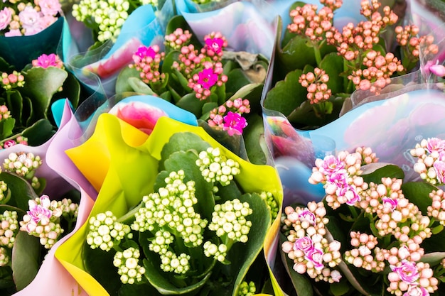 Beautiful blooming flowers for sale outside flower shop