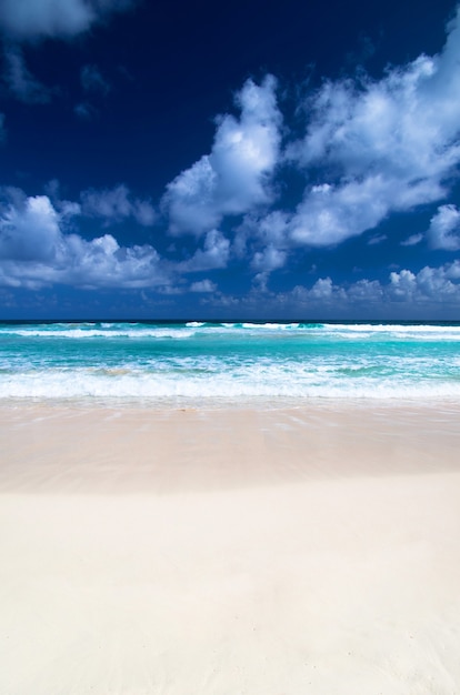 Bellissima spiaggia blu del mar dei caraibi
