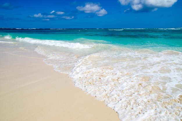 Beautiful blue caribbean sea beach