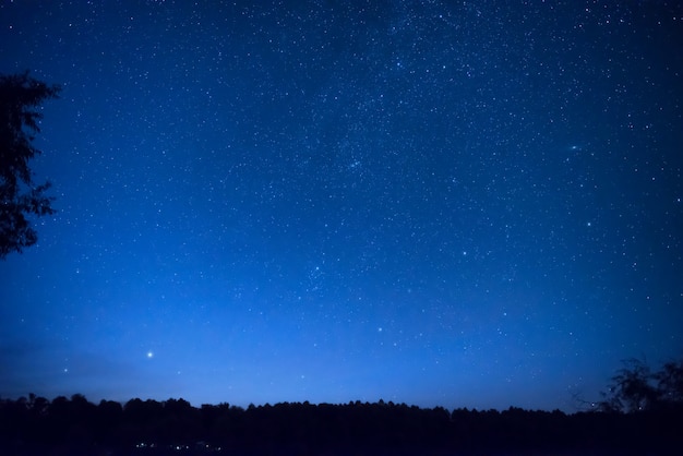 Beautiful blue night sky with many stars above the forest. milky way space background