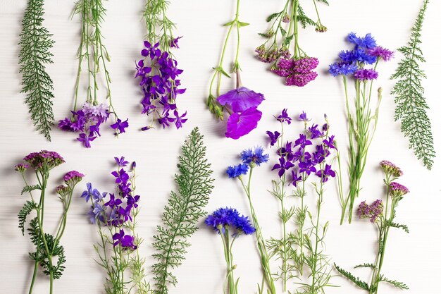 Beautiful blue and purple flowers frame flat lay on white wooden desk, copy space, top view