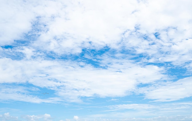 美しい青い空と白い雲の抽象的な背景 Cloudscape 背景 青い空とふわふわ