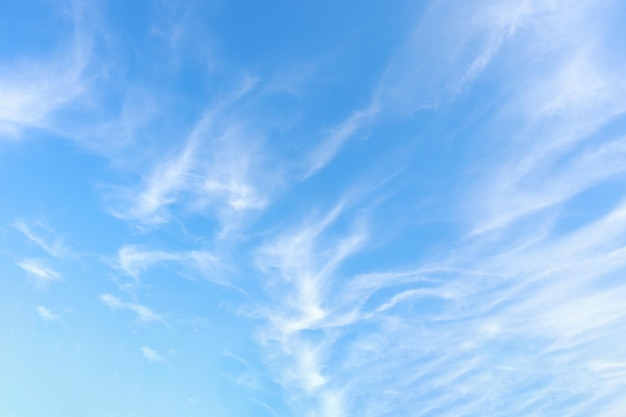 写真 雲を背景にした美しい青い空