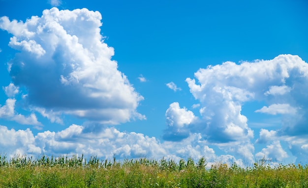 Foto bel cielo azzurro con nuvole. messa a fuoco selettiva. natura.