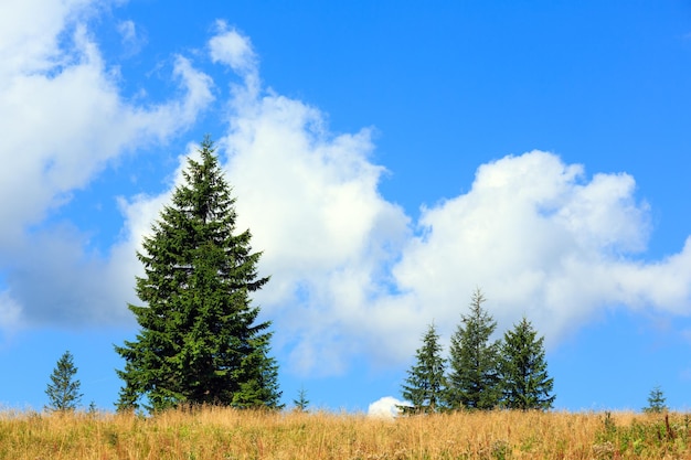 Beautiful blue sky with white cumulus clouds over summer mountain hill with fir trees.