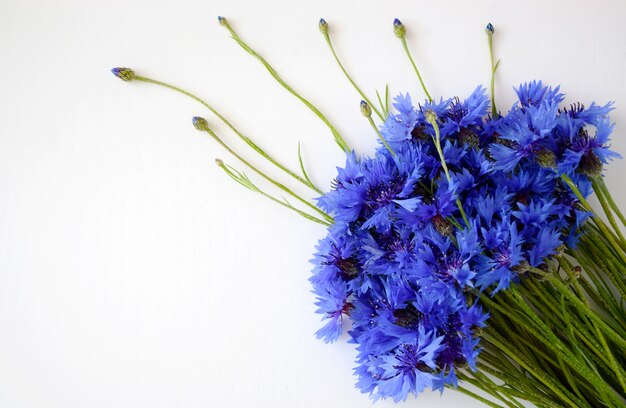 美しい青い野生の花が咲きます。白い背景に分離された青いCentaurea cyanusの花束