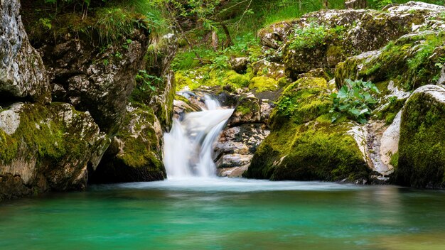 Красивое размытое изображение небольшого водопада, протекающего через каскады в ярко-зеленой природе и замшелых скалах
