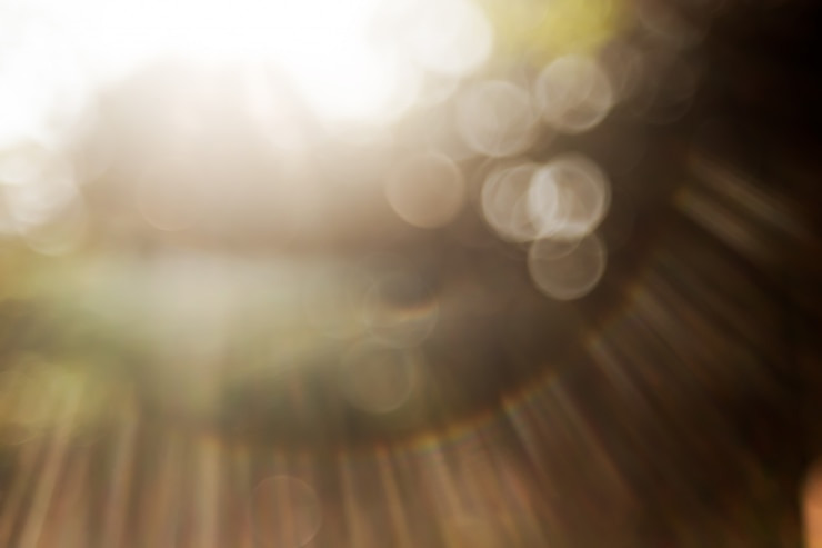 Photo 美麗的 bokeh 和太陽的光線