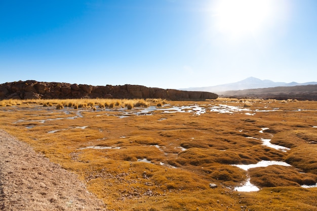 Beautiful bolivian landscape