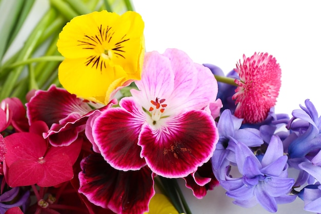 Beautiful bouquet of bright flowers close up