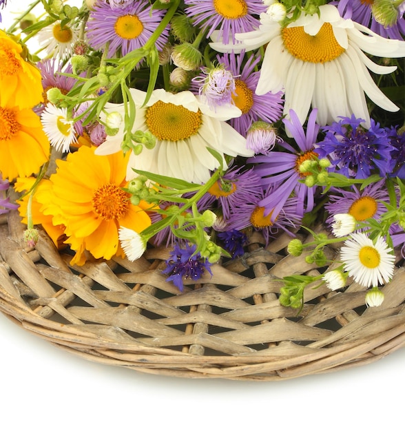 Beautiful bouquet of bright wildflowers isolated on white