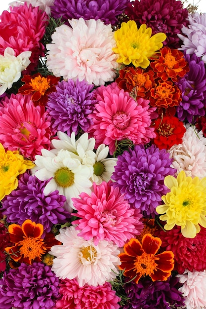 국화 근접 촬영의 아름다운 꽃다발