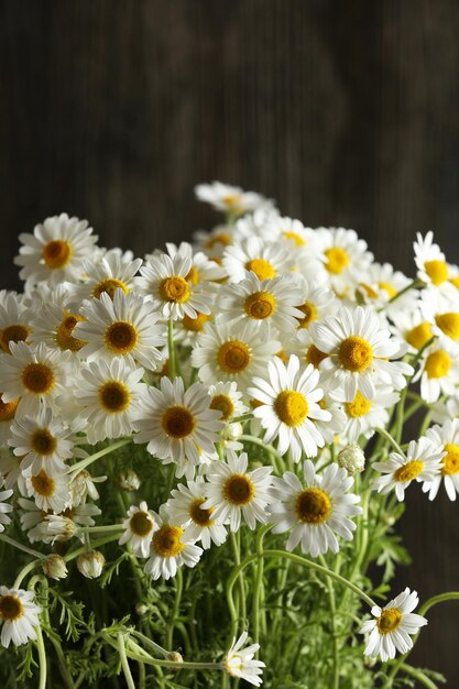 Beautiful bouquet of daisies on wooden background