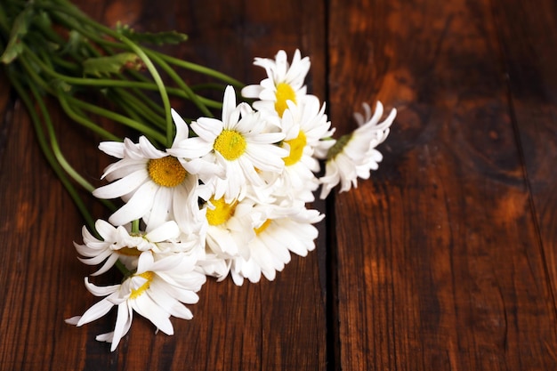 Beautiful bouquet of daisies on wooden background