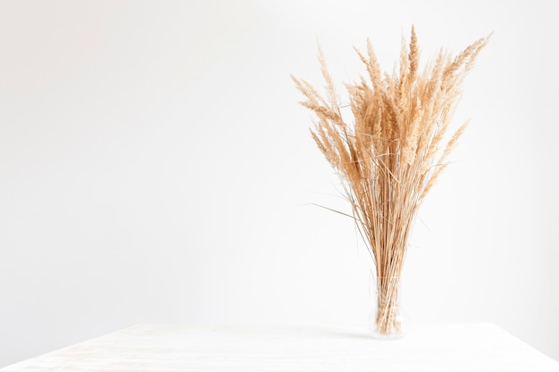 A beautiful bouquet of dried pampas grass flowers in a glass vase on a white wooden table