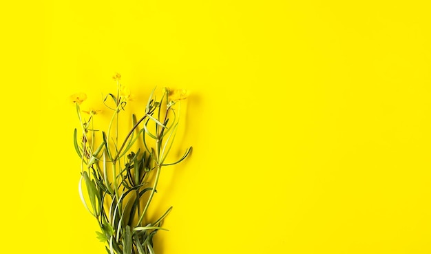 Beautiful bouquet of flowers on bright yellow background Ranunculus acris plants