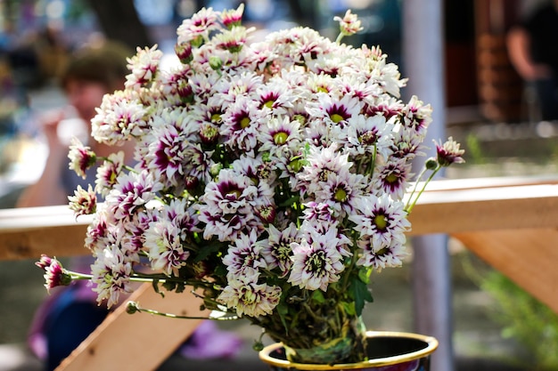 Beautiful bouquet of flowers