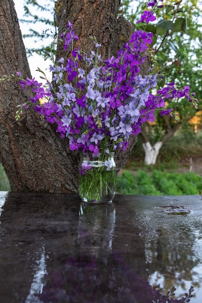 Красивый букет домашних цветов синий и фиолетовый дельфиниум в банке с водой