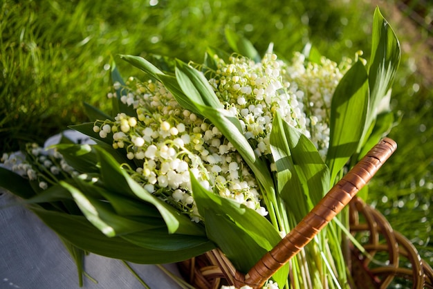 Beautiful bouquet of lily of the valley in the basket