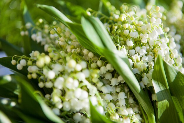 Beautiful bouquet of lily of the valley in the basket