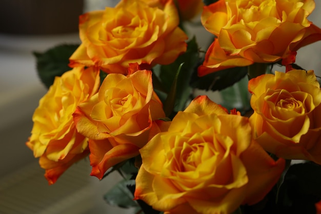 Beautiful bouquet of orange roses with delicate petals