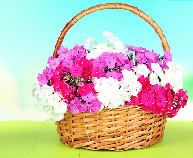 Beautiful bouquet of phlox in wicker basket on table on light background