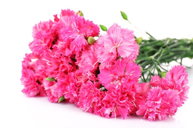 Beautiful bouquet of pink carnation isolated on white