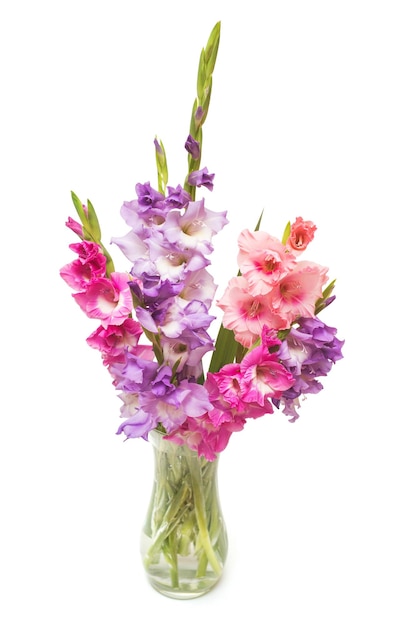 Beautiful bouquet pink fashionable gladiolus flower in a vase isolated on white background. Wedding bouquet of the bride