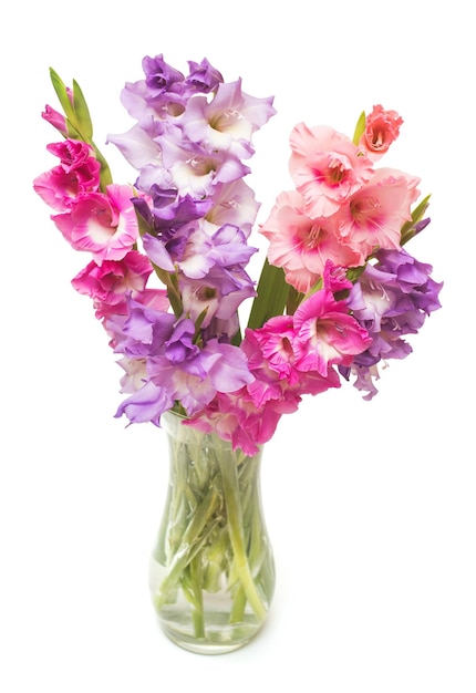 白い背景で隔離の花瓶の美しい花束ピンクのファッショナブルなグラジオラスの花。花嫁のウェディングブーケ