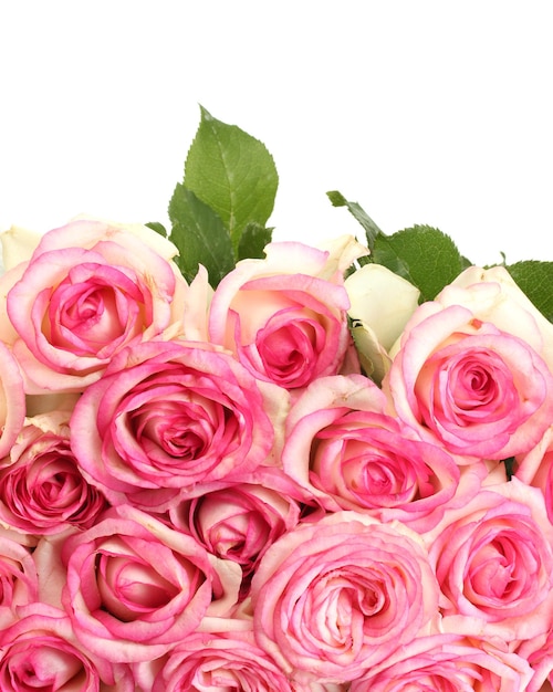 Bellissimo bouquet di rose rosa isolato su bianco