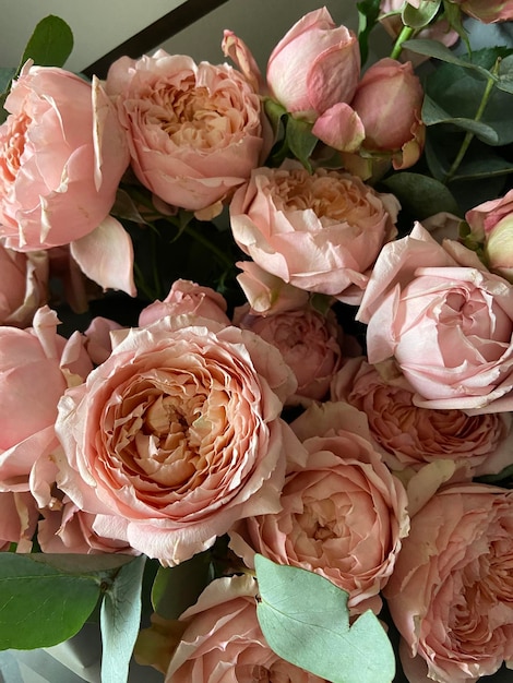 Beautiful bouquet of pink roses with eucalyptus on a grey background