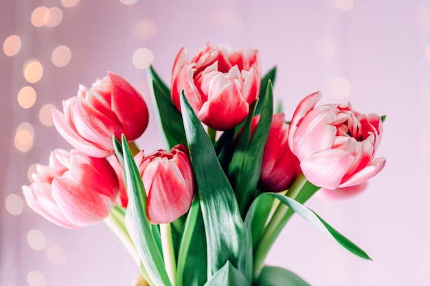 Beautiful bouquet of pink tulips on blurred light