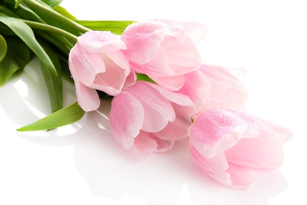 Beautiful bouquet of pink tulips, isolated on white