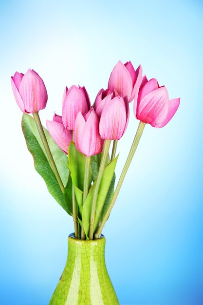 Beautiful bouquet of pink tulips in vase, on blue background