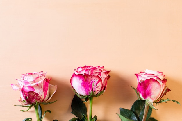 ピンクと白のバラの花の美しい花束のクローズアップベージュのパステルカラーの背景、バレンタインまたはウェディングカード