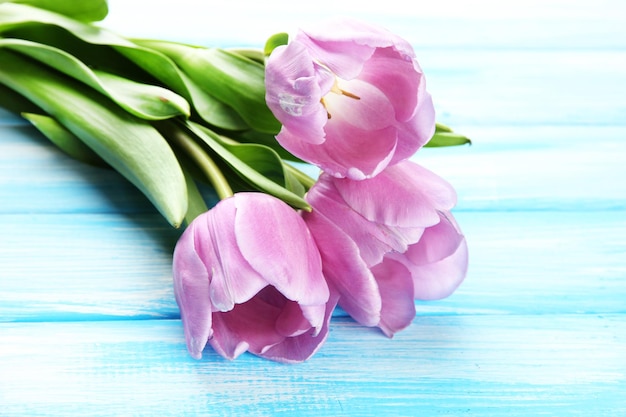 Beautiful bouquet of purple tulips on blue wooden background