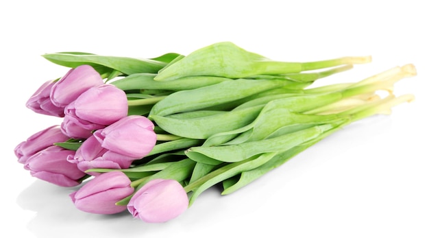 Beautiful bouquet of purple tulips, isolated on white