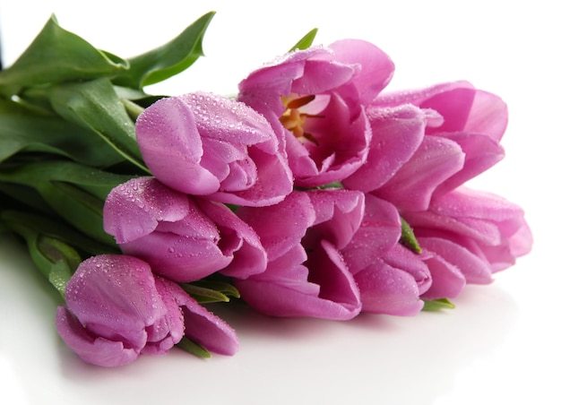 Beautiful bouquet of purple tulips, isolated on white