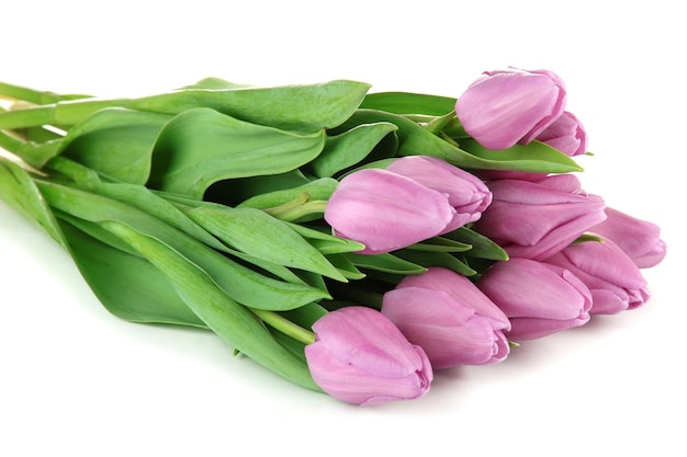 Beautiful bouquet of purple tulips, isolated on white