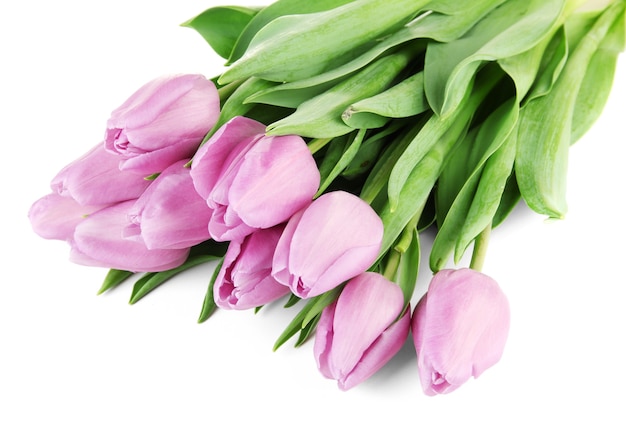 Beautiful bouquet of purple tulips, on white