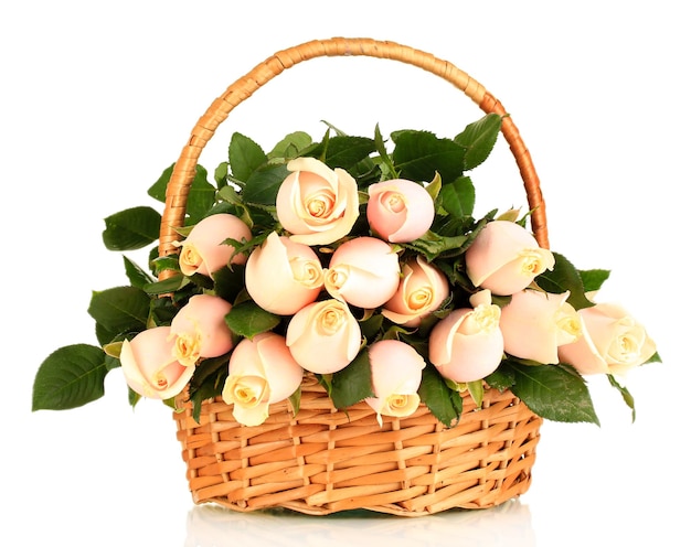 Beautiful bouquet of roses in basket, isolated on white