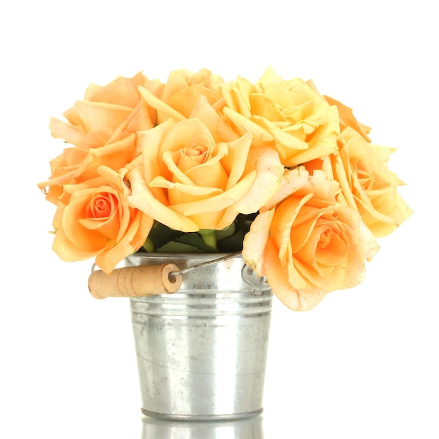 Beautiful bouquet of roses in bucket isolated on white