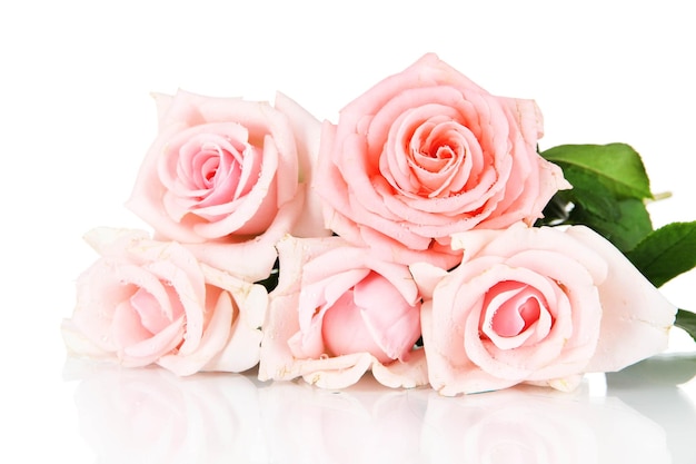 Beautiful bouquet of roses isolated on white