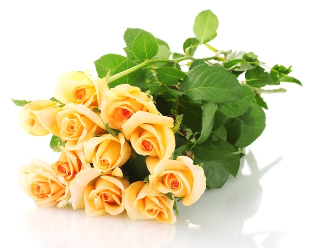 Beautiful bouquet of roses isolated on white