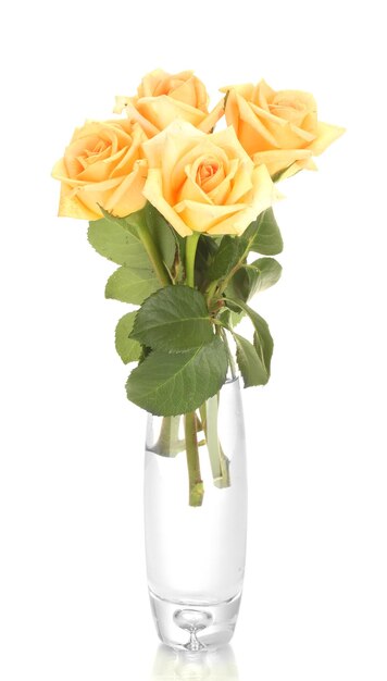 Beautiful bouquet of roses in transparent vase isolated on white
