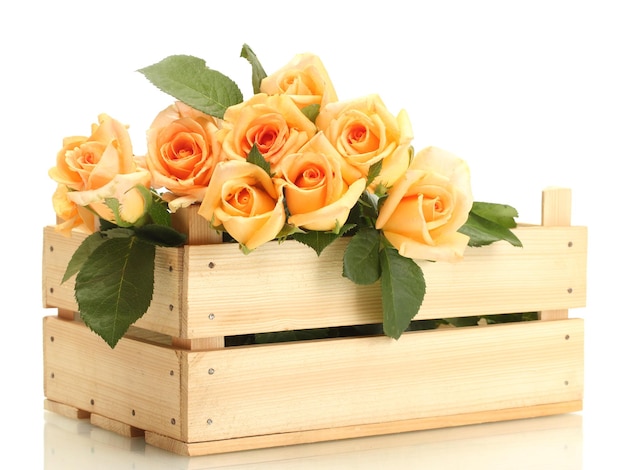 Beautiful bouquet of roses in wooden box isolated on white