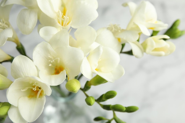 Beautiful bouquet of spring freesia flowers on color background closeup