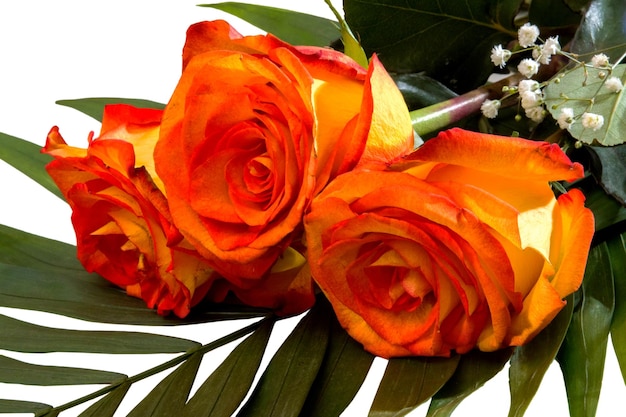 Красивый букет из трех желтокрасных роз