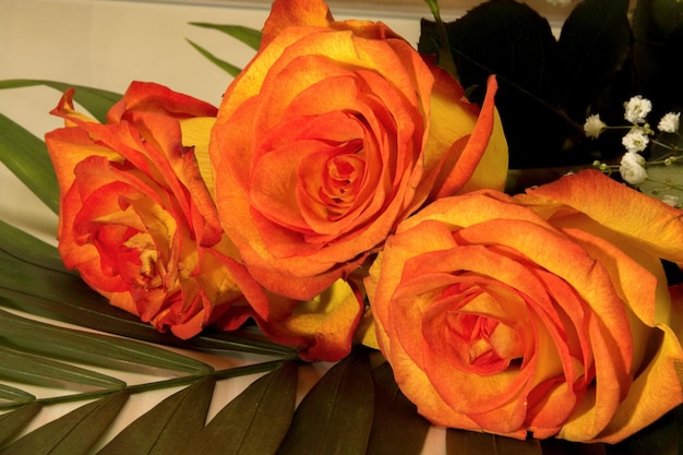 Photo beautiful bouquet of three yellowred roses